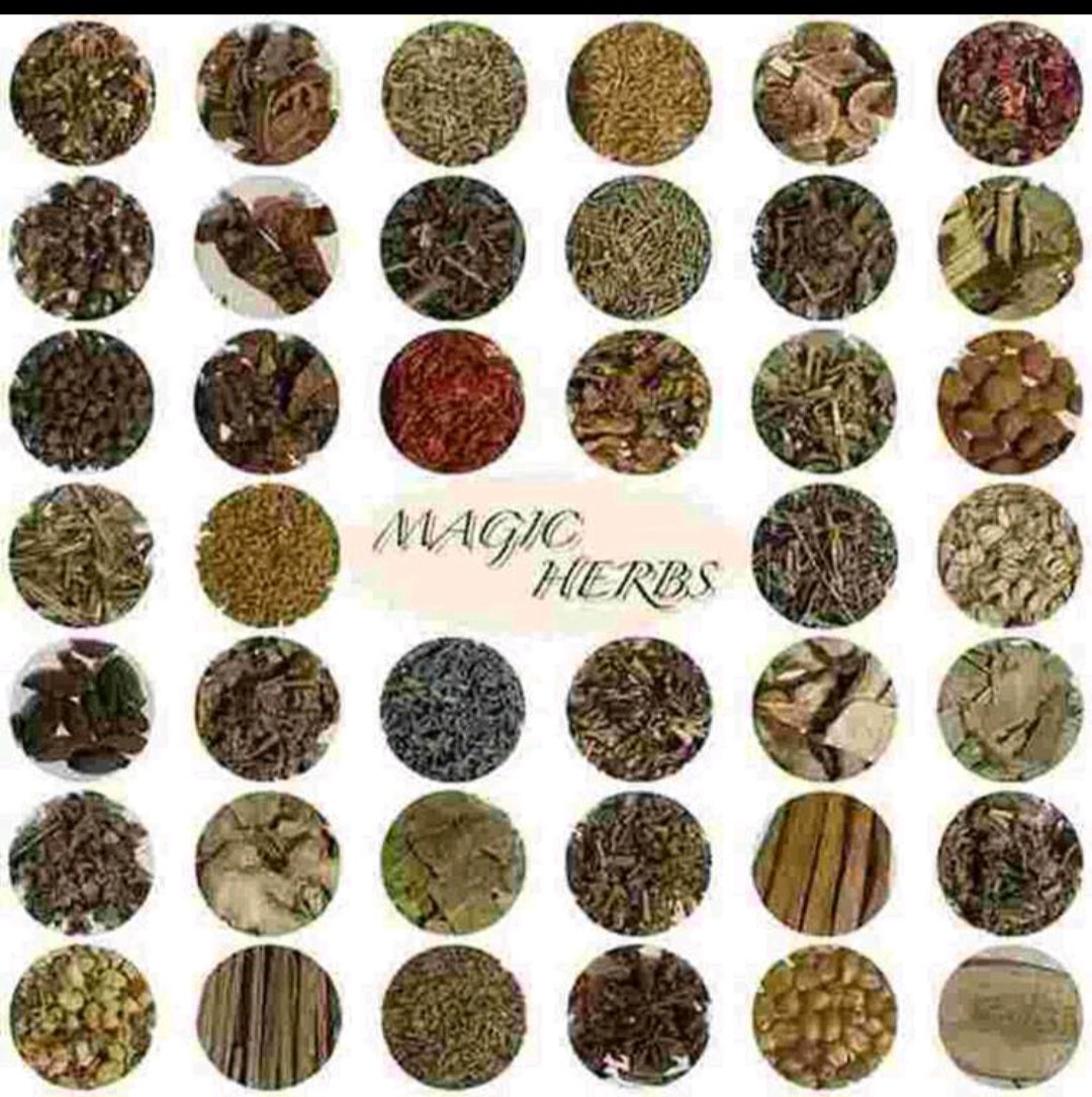 coffret de plantes séchées 40 paquets