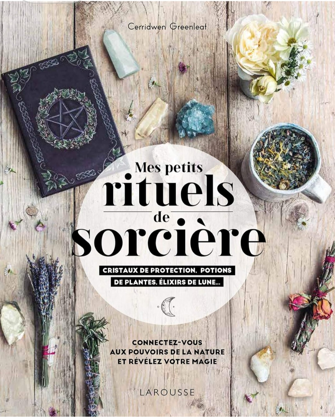 bouquin Mes rituels de sorcière