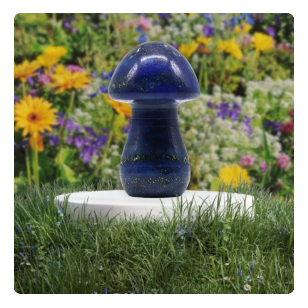 Champignon lapis lazuli