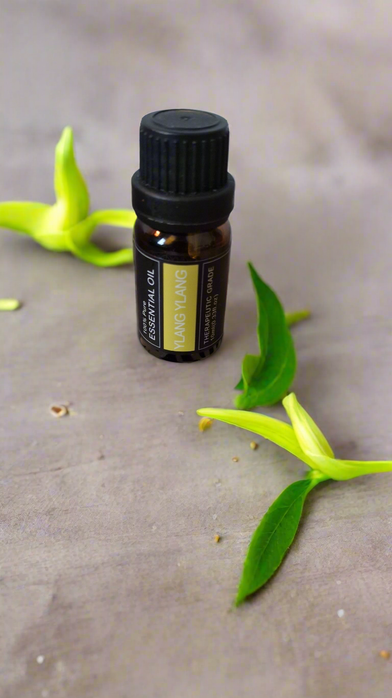 kit de printemps pour le renouveau