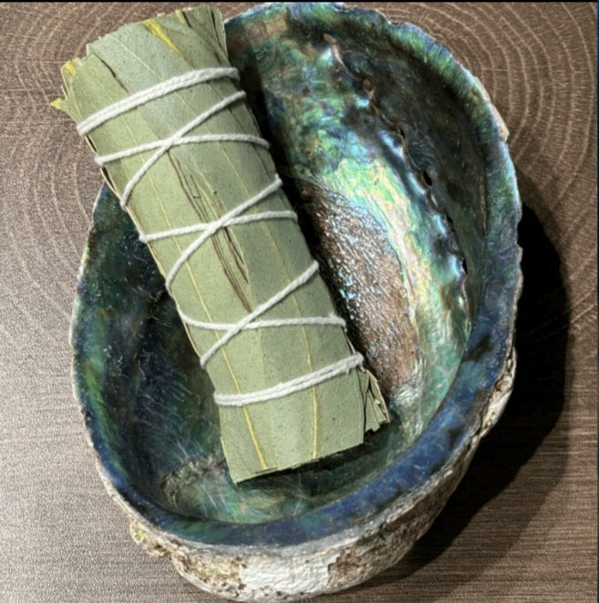 bâton eucalyptus