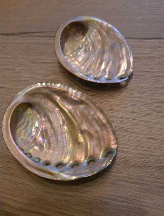 coquille d'ormeau