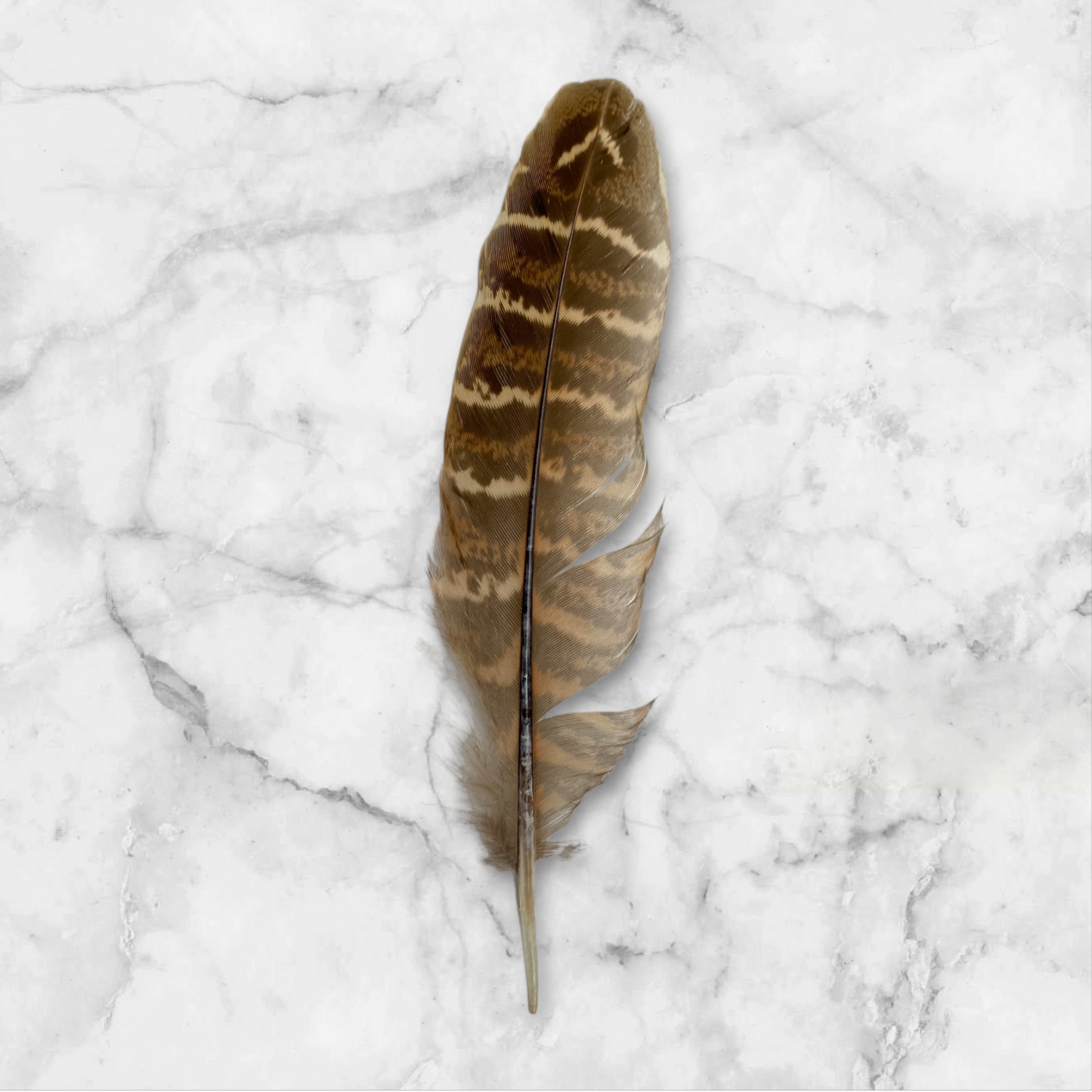 plume