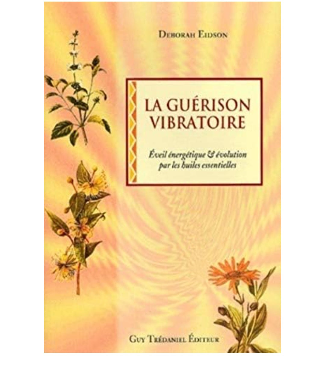 livre La guérison vibratoire