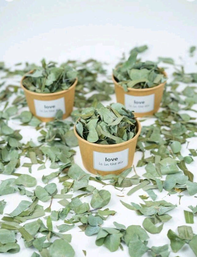 pétales d'eucalyptus