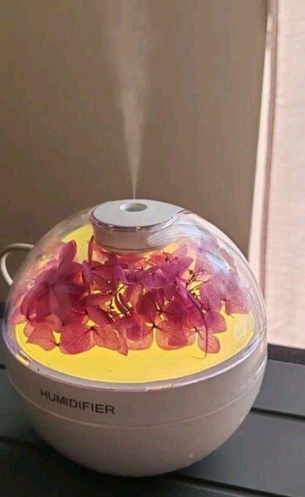 diffuseur huile essentielle fleure séchée