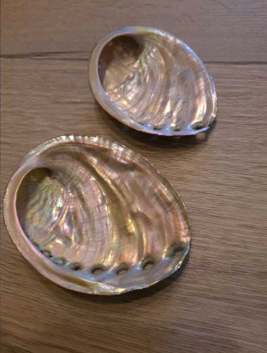coquille d'ormeau